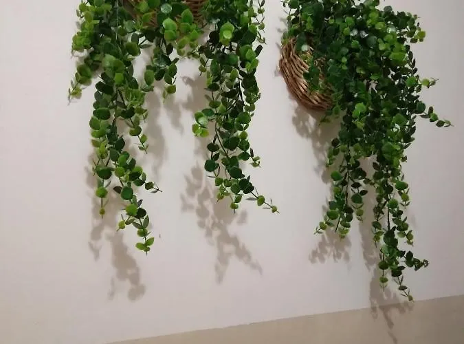 Apartment Gioberti Casale Monferrato